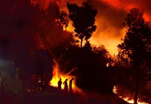 Forest fire in Uttarakhand