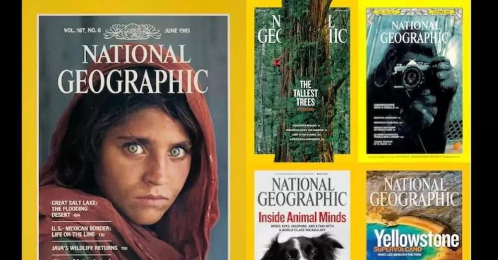 Nat Geo Layoffs Saddens Me Youth Ki Awaaz