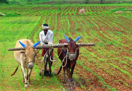 Farmers in India